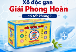 Xổ độc gan Giải Phong Hoàn có tốt không?