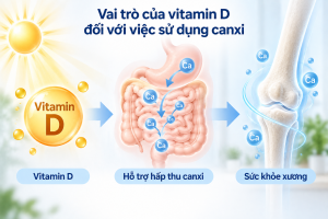 Vitamin D hỗ trợ cơ thể hấp thu và sử dụng canxi hiệu quả hơn
